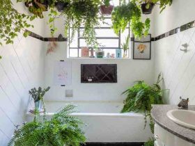Quelle plante dans une salle de bain