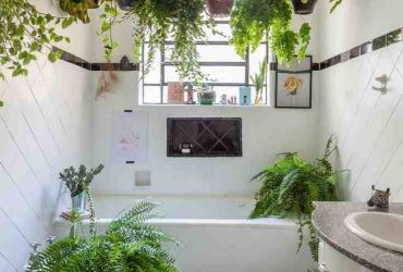 Quelle plante dans une salle de bain